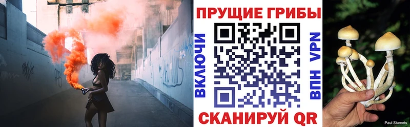 Псилоцибиновые грибы мухоморы Ачхой-Мартан